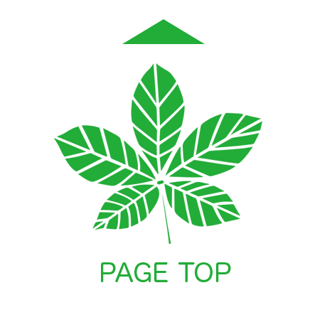 PAGE TOP